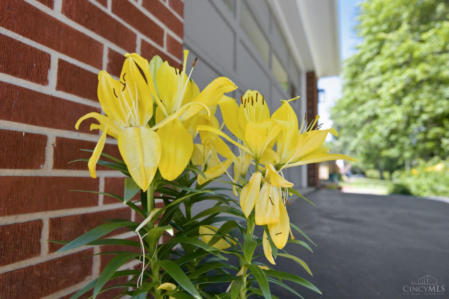 5779 Wolfpen-Pleasant Hill Road