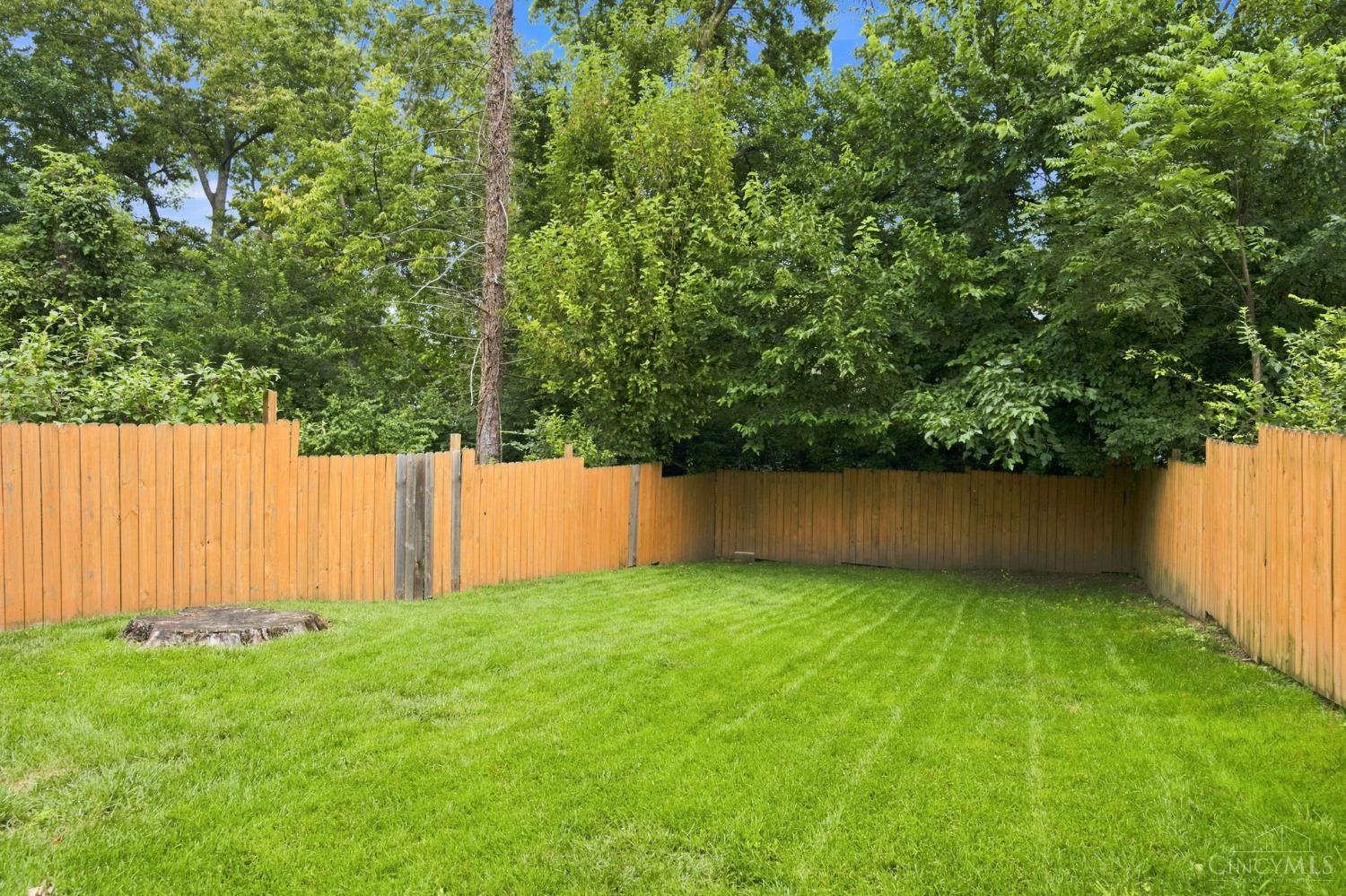 434 Considine Avenue