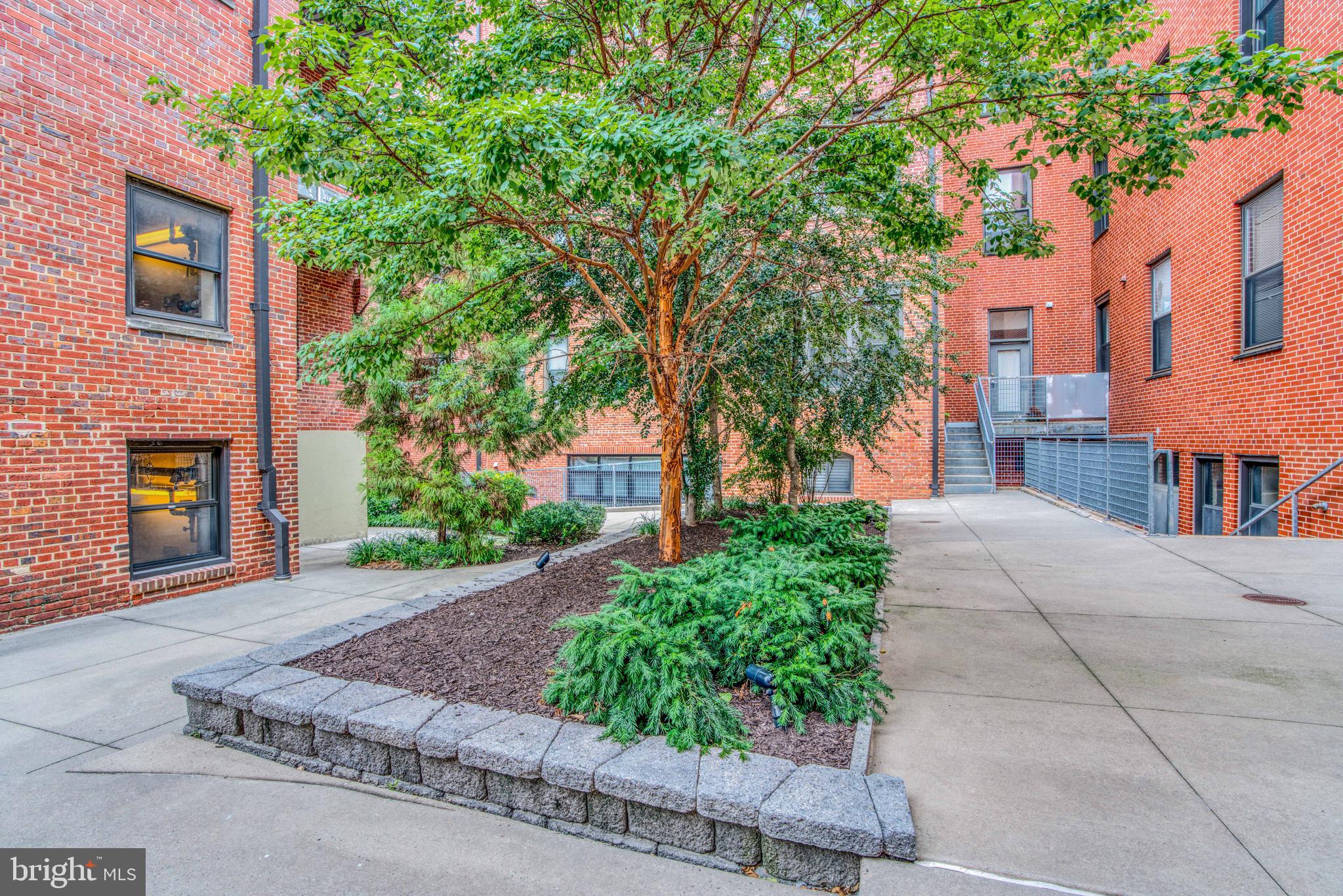 1211 LIGHT STREET T-8