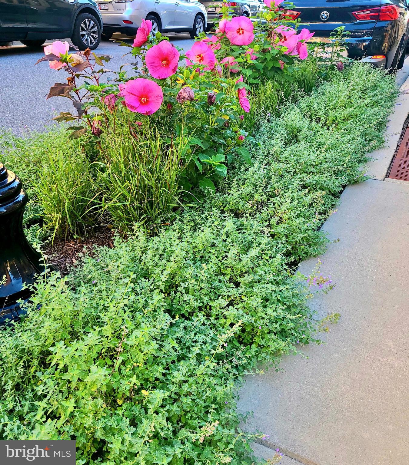 1313 BENJAMIN STREET