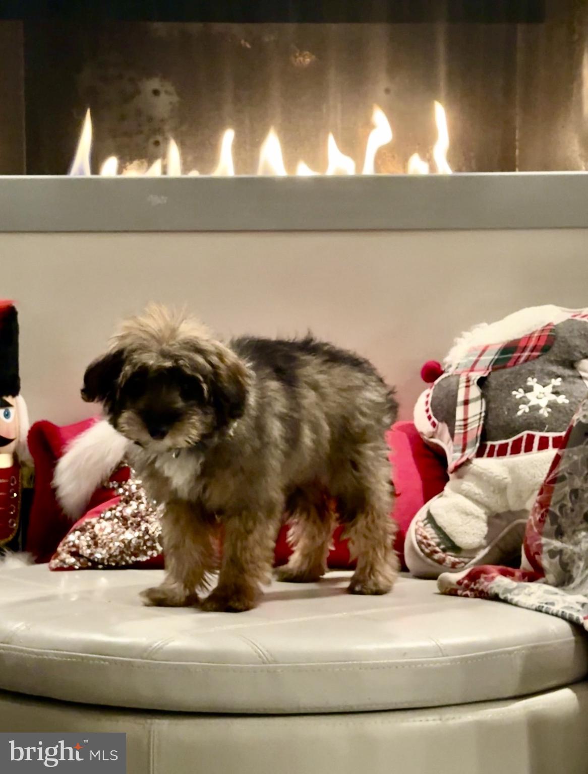 1313 BENJAMIN STREET