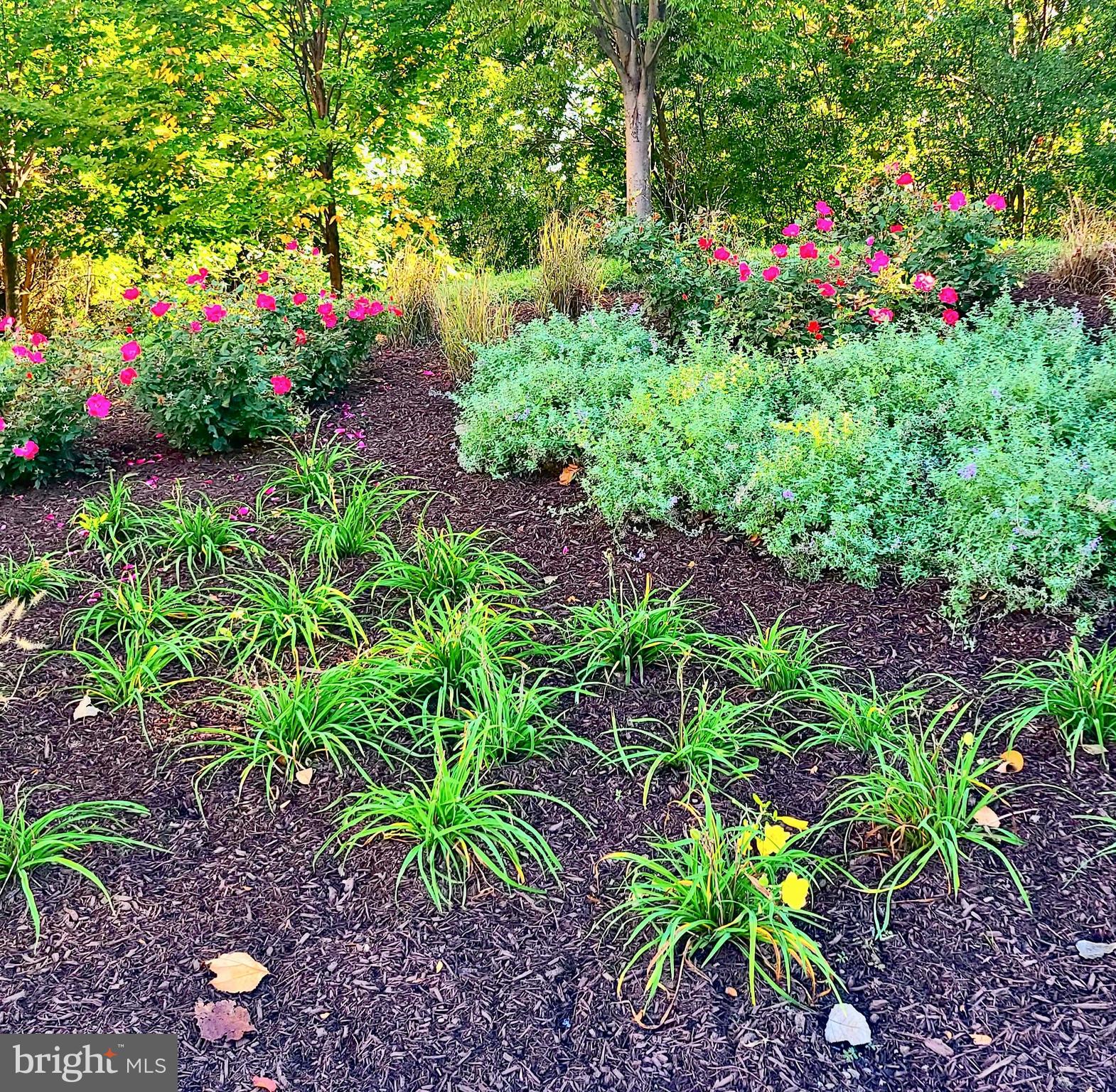 1313 BENJAMIN STREET