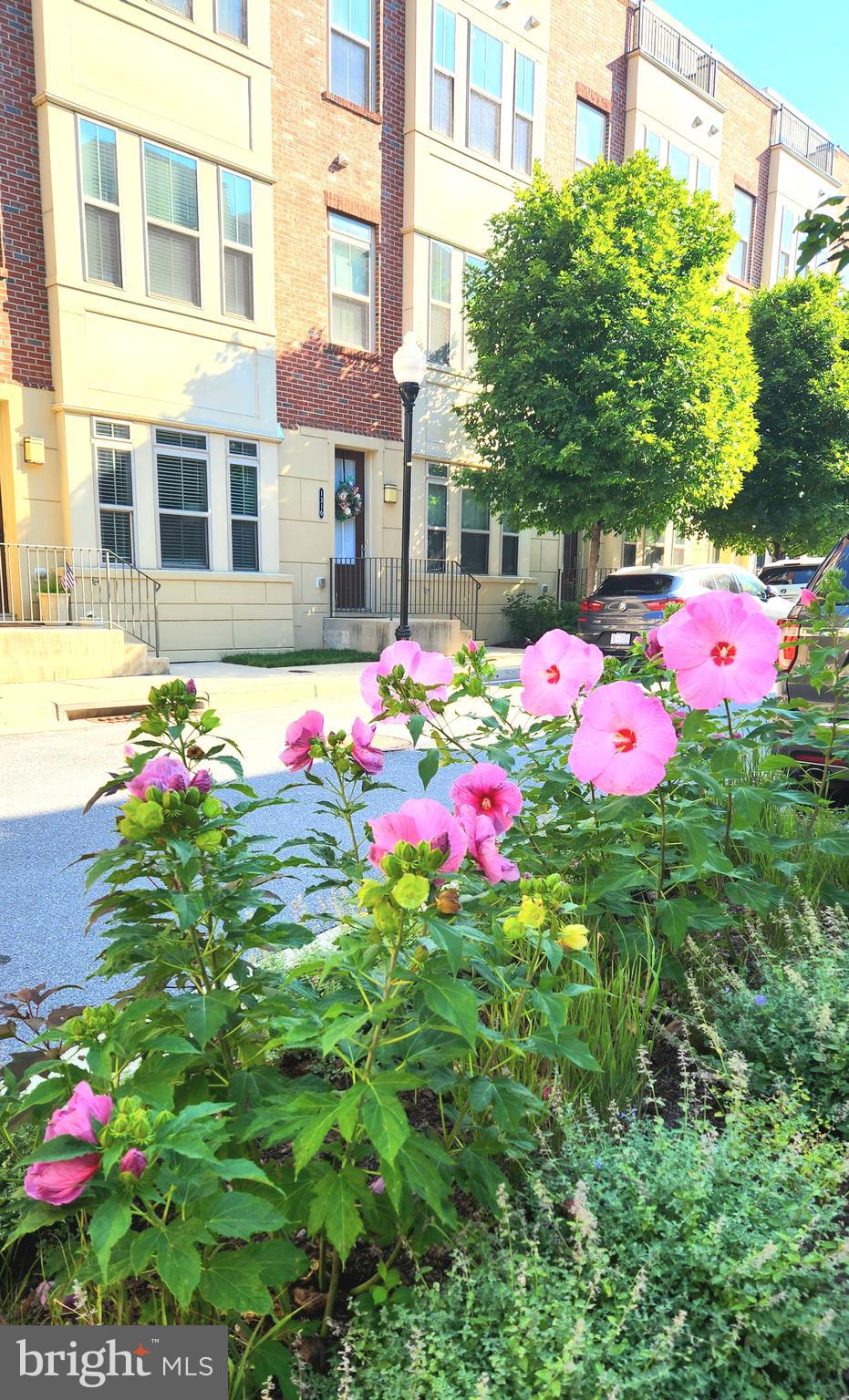 1313 BENJAMIN STREET