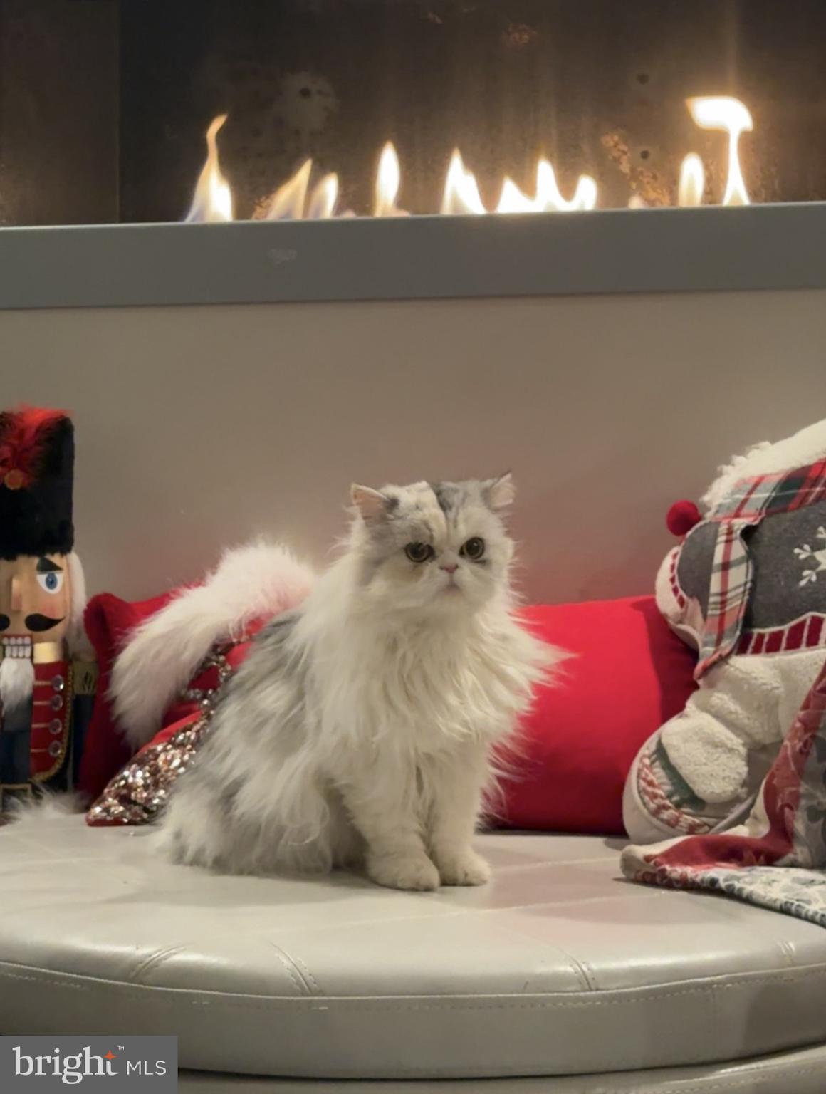 1313 BENJAMIN STREET