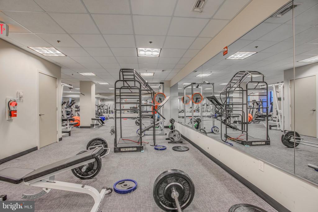 1211 LIGHT STREET Unit: 208