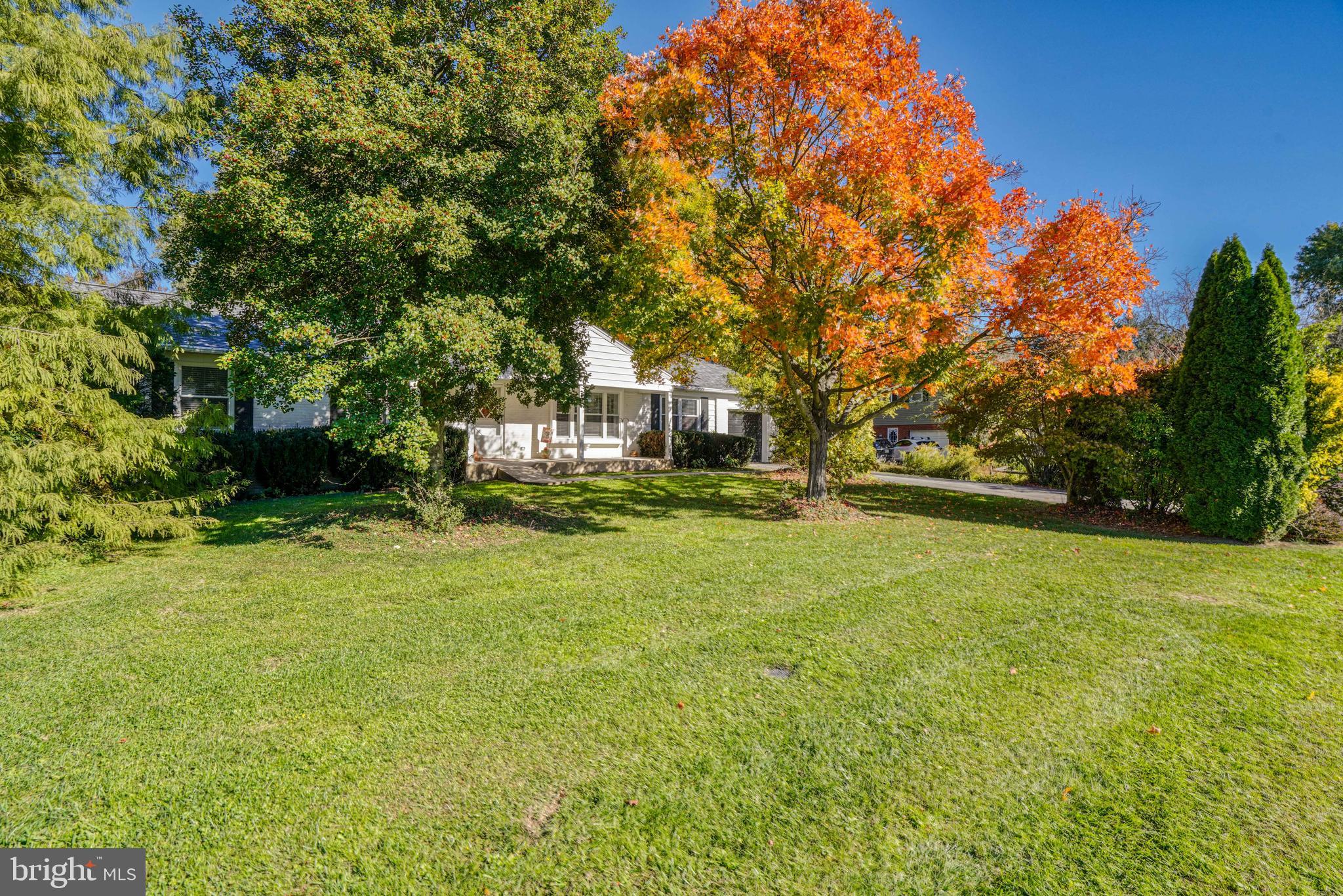 3117 Chatham ROAD