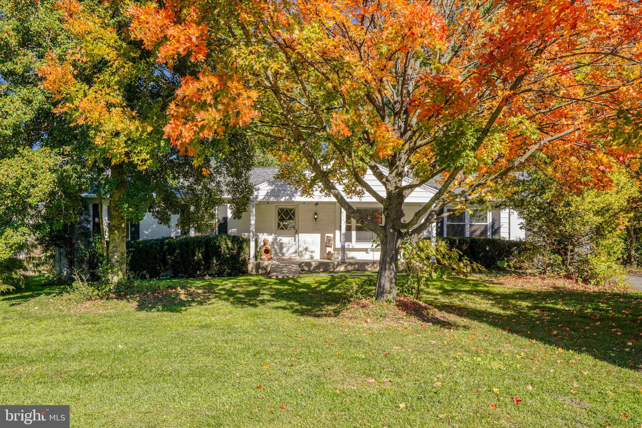 3117 Chatham ROAD