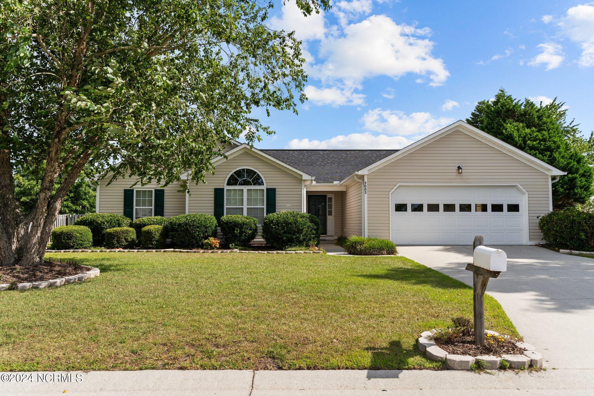 3003 White Road