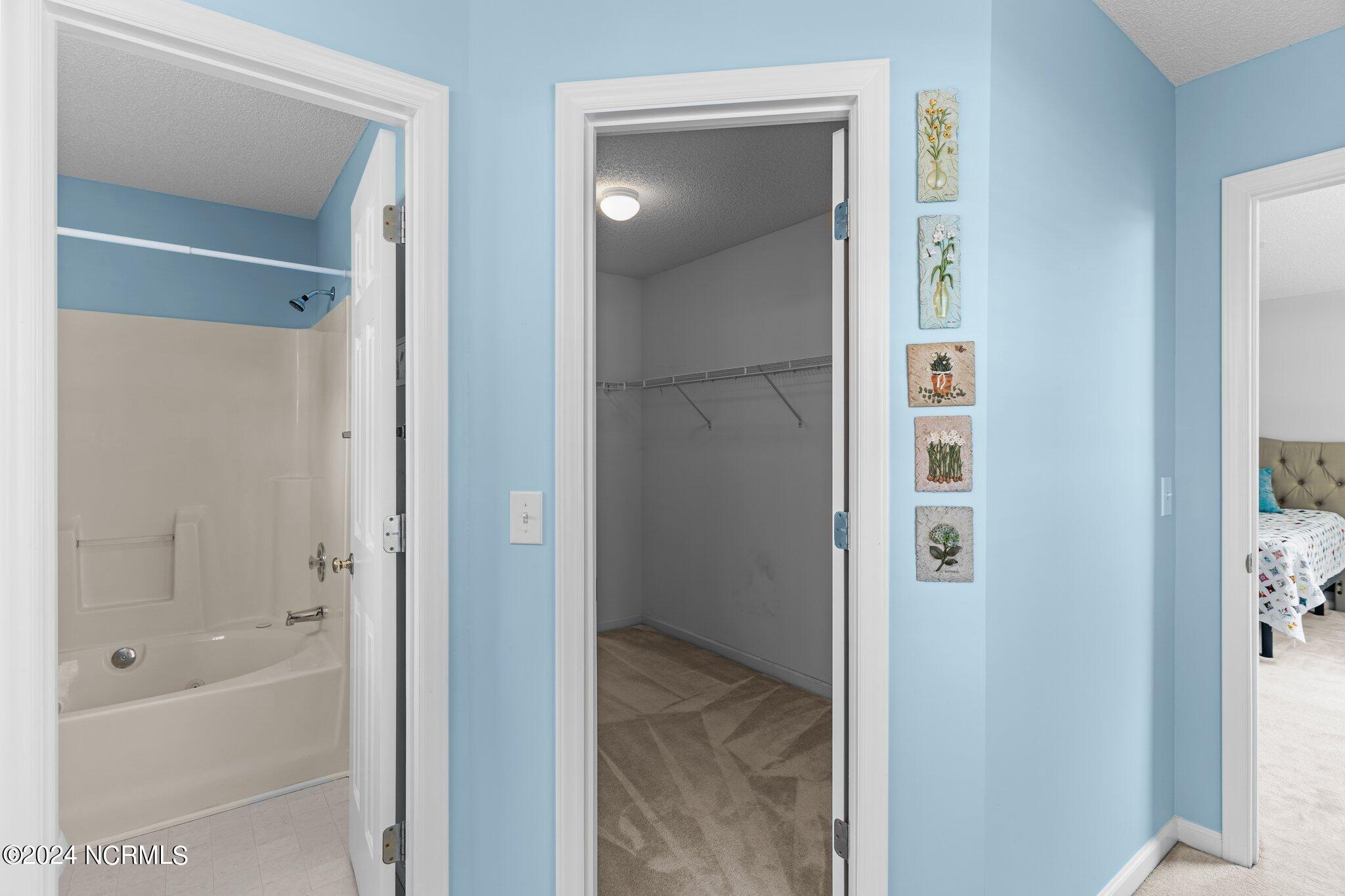 3003 White Road