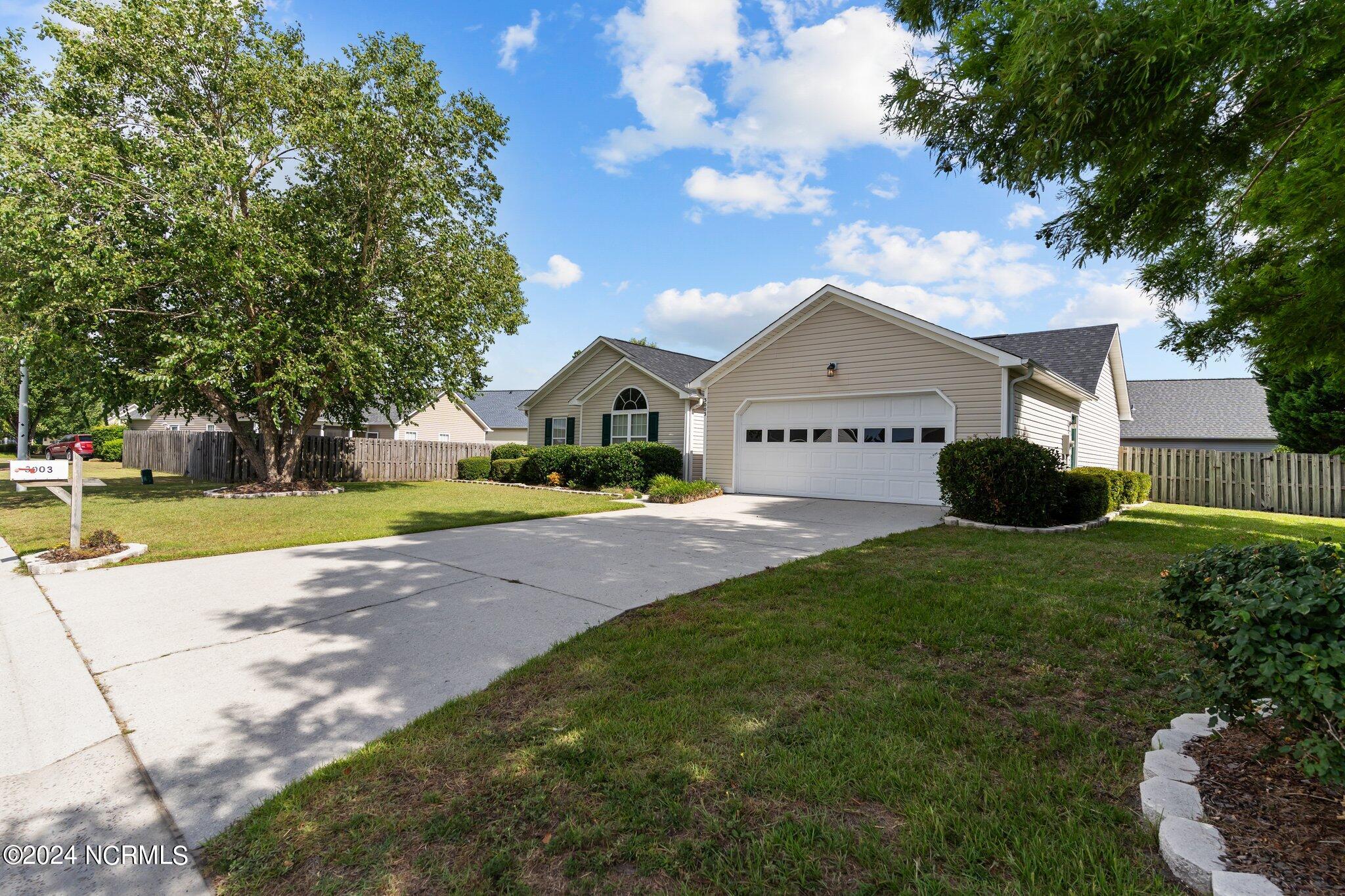 3003 White Road