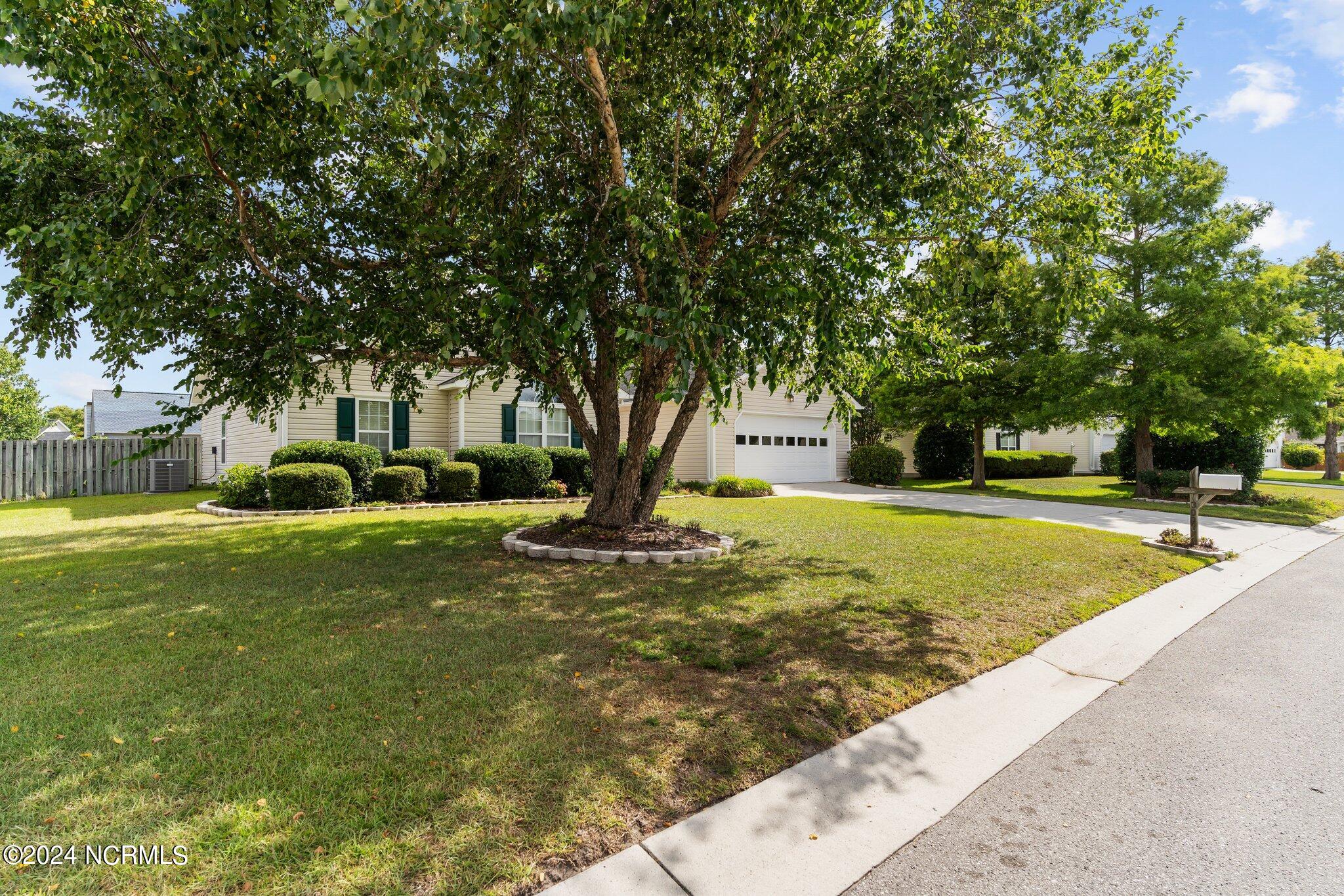 3003 White Road