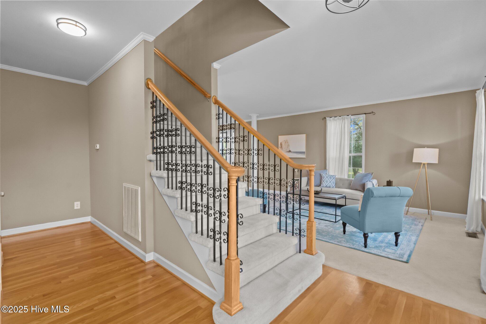103 Penny Packer Court