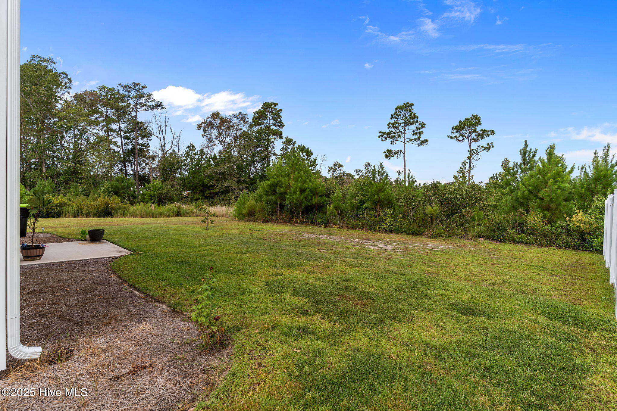 1163 Little Martha Way