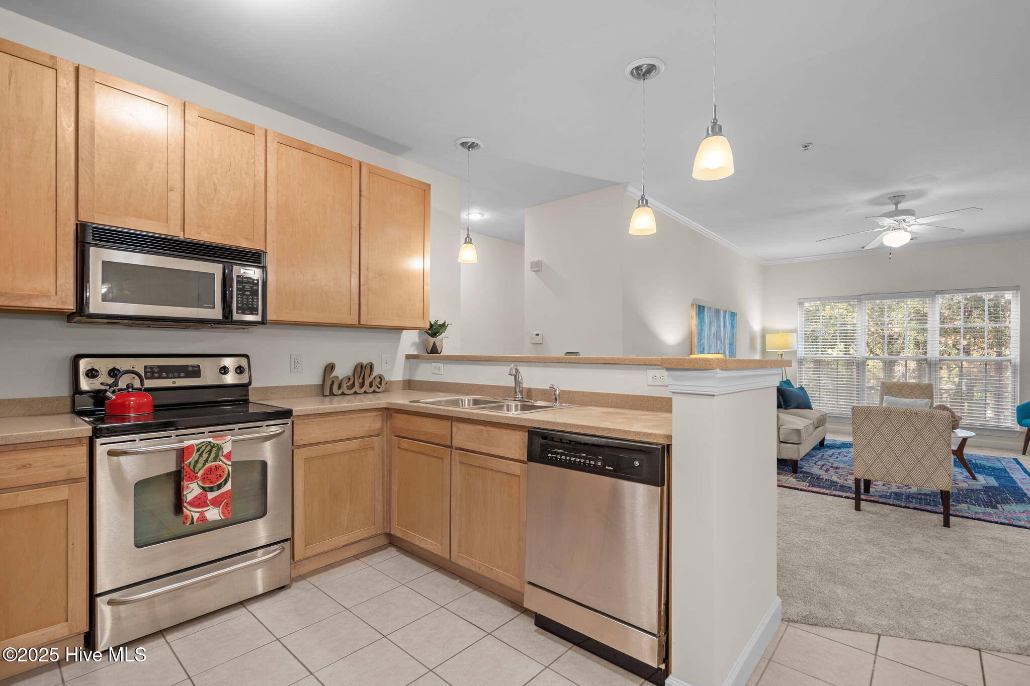 1505 Cadfel Court Unit 203