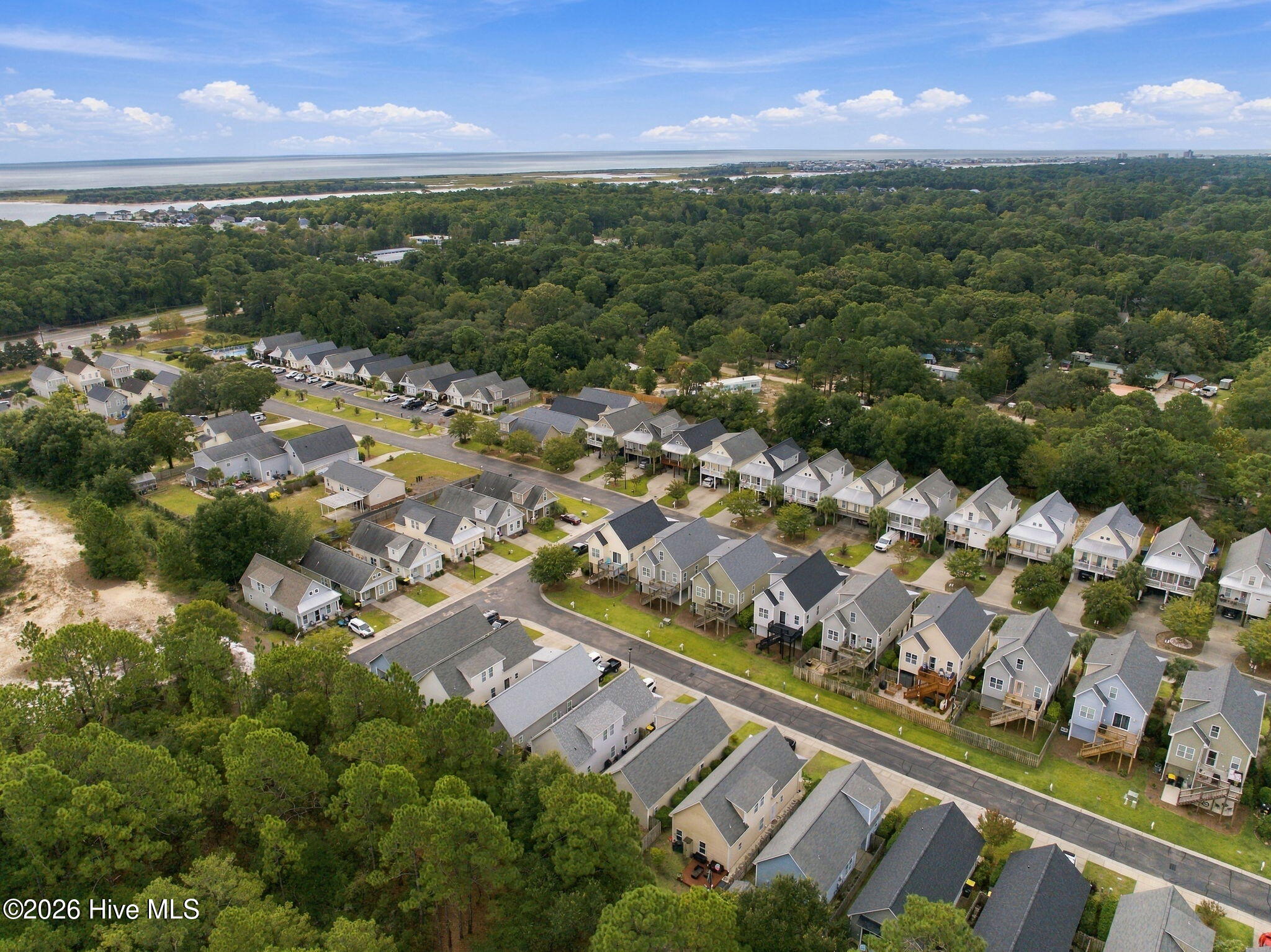 Aerial view of homes along tree-lined streets, with dense woodland and water in the distance.
