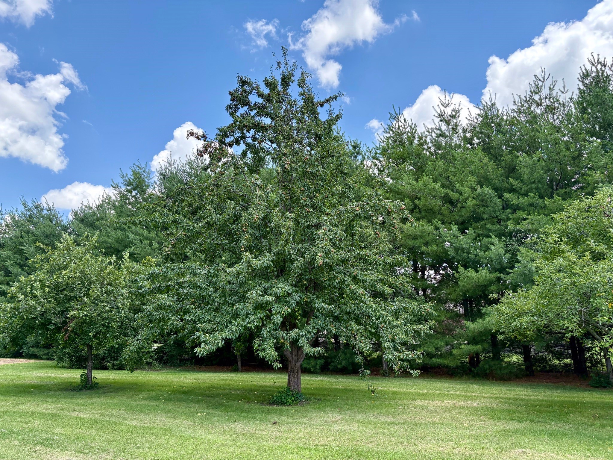 2270 NW 58th Avenue