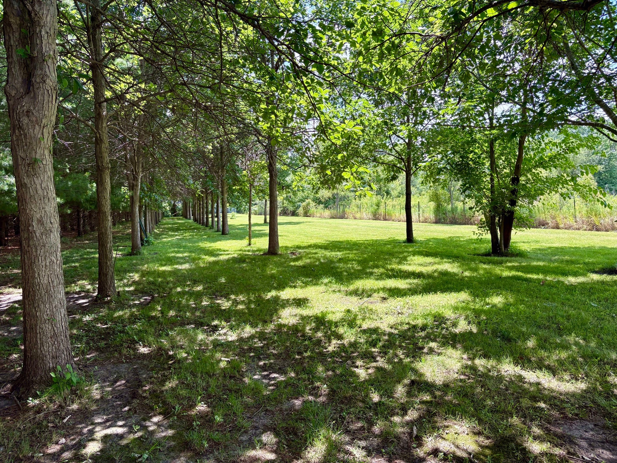 2270 NW 58th Avenue