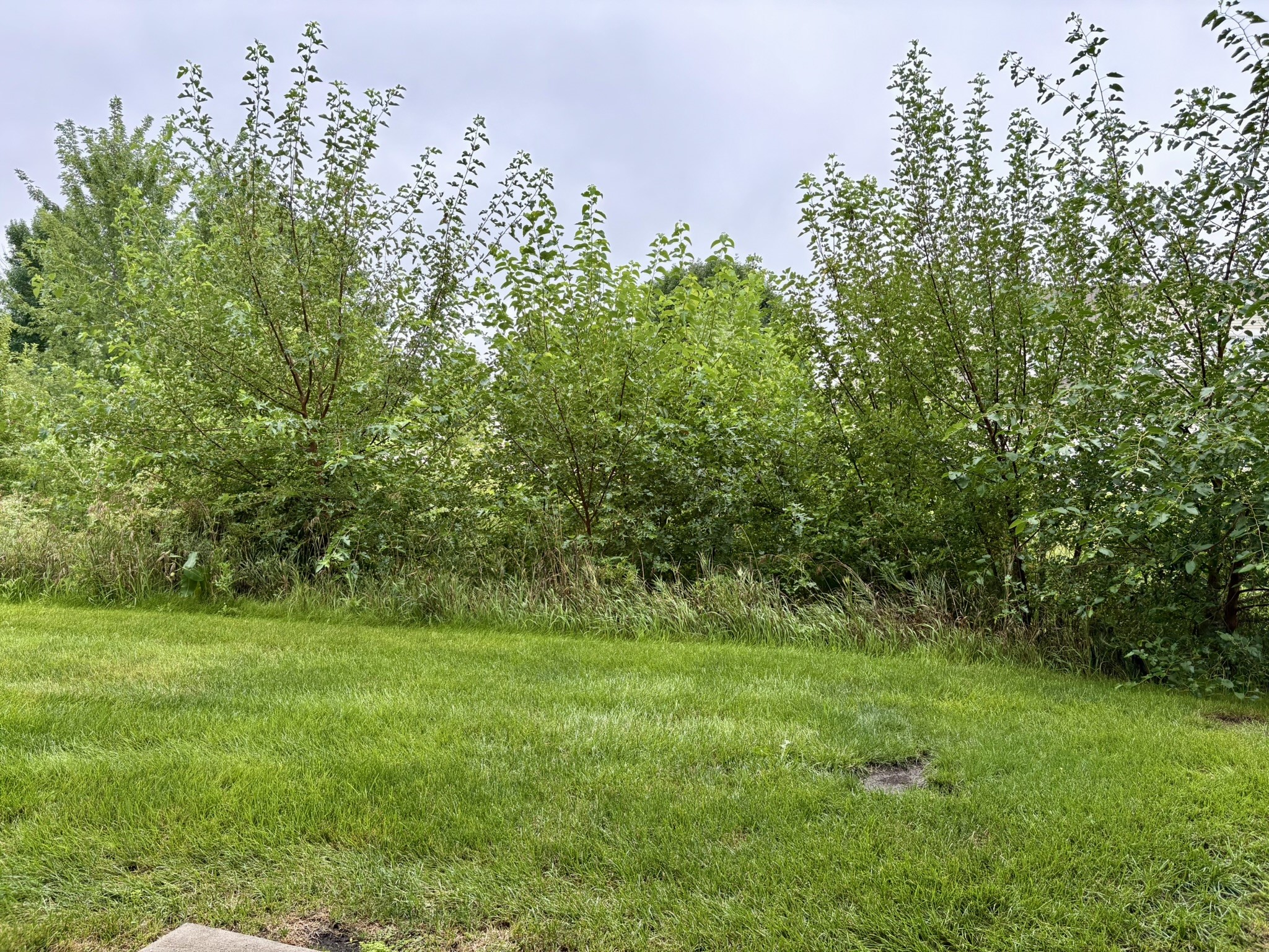 1265 SE 6th Street 102