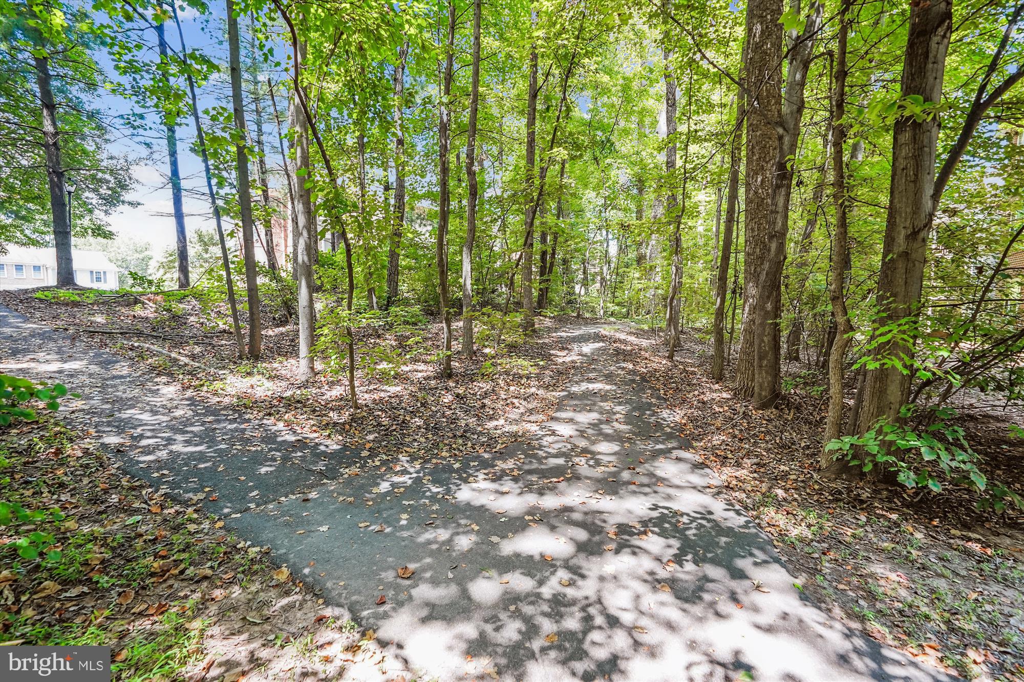 4104 MONUMENT COURT 204