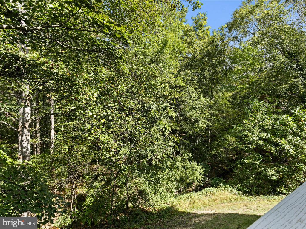 12030 CARDAMOM DRIVE 12030