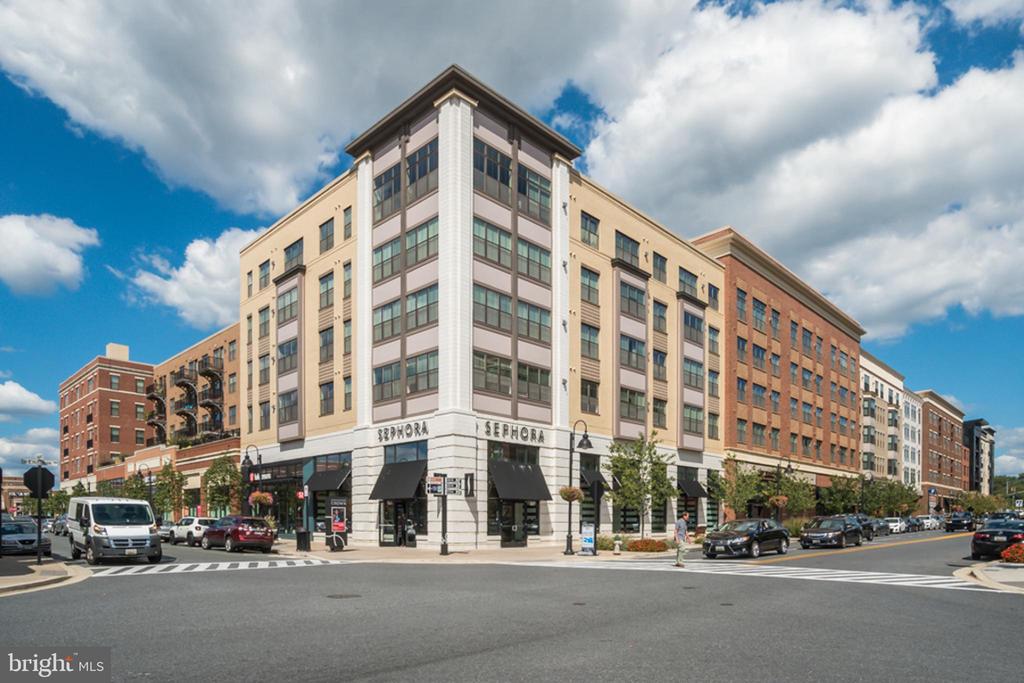 5 Blue Ribbon Ct #6-3