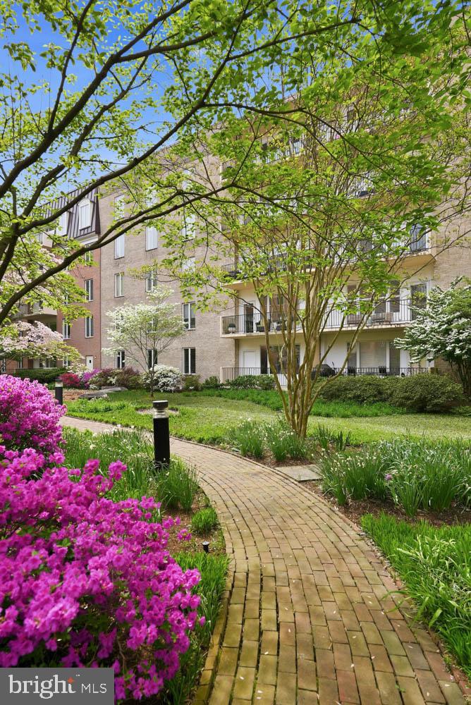 8101 CONNECTICUT AVENUE S-405