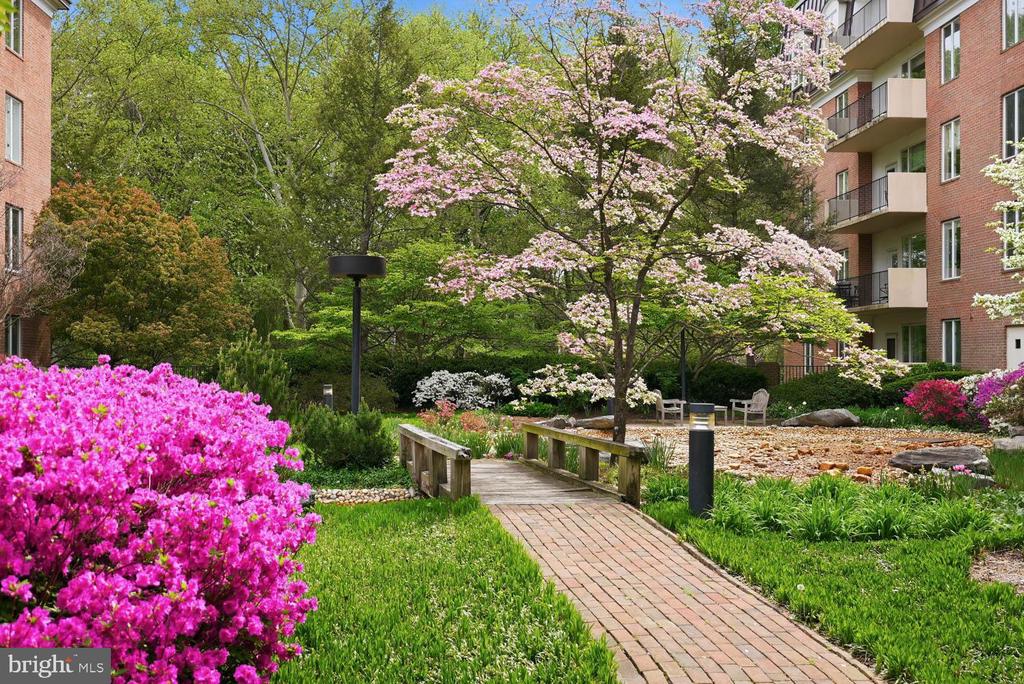 8101 CONNECTICUT AVENUE Unit: S-405