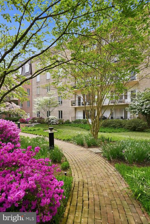 8101 CONNECTICUT AVENUE Unit: S-405