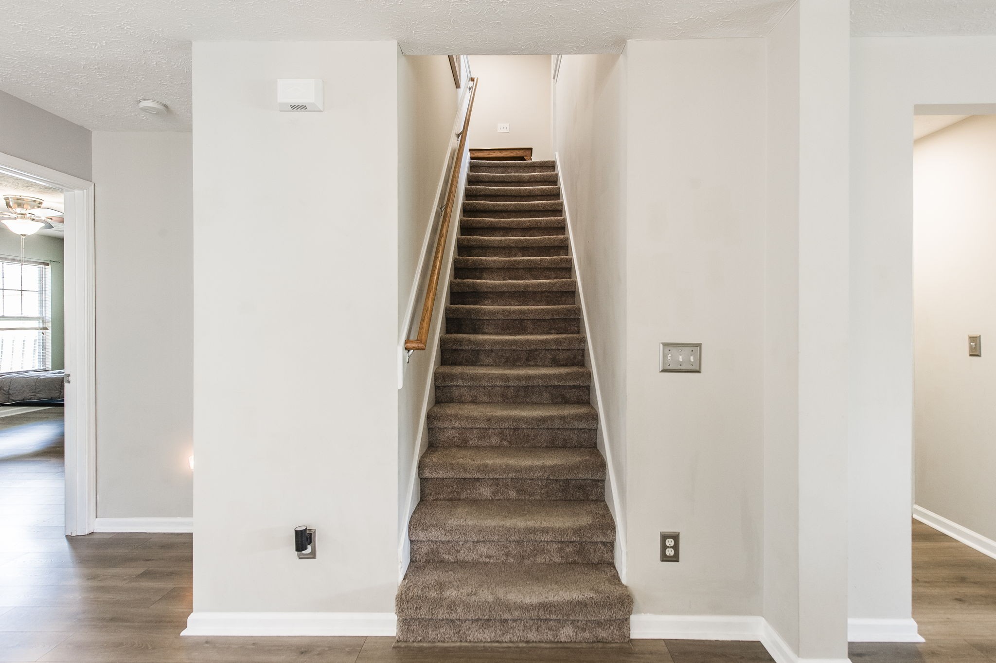 123 Trail Ridge Way
