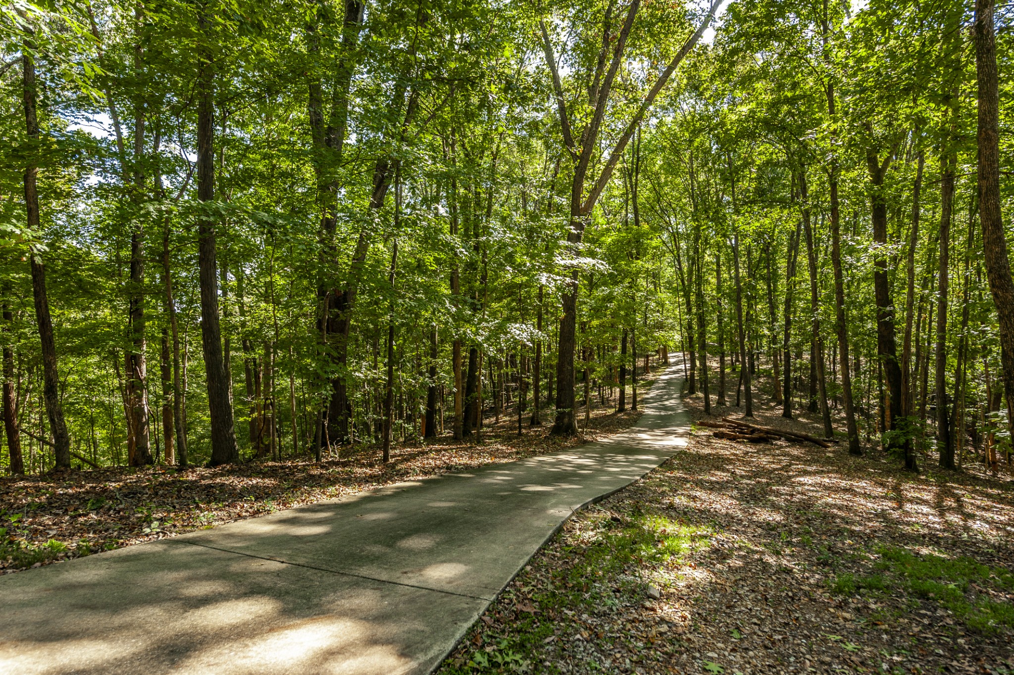95 Busby Hollow Ln