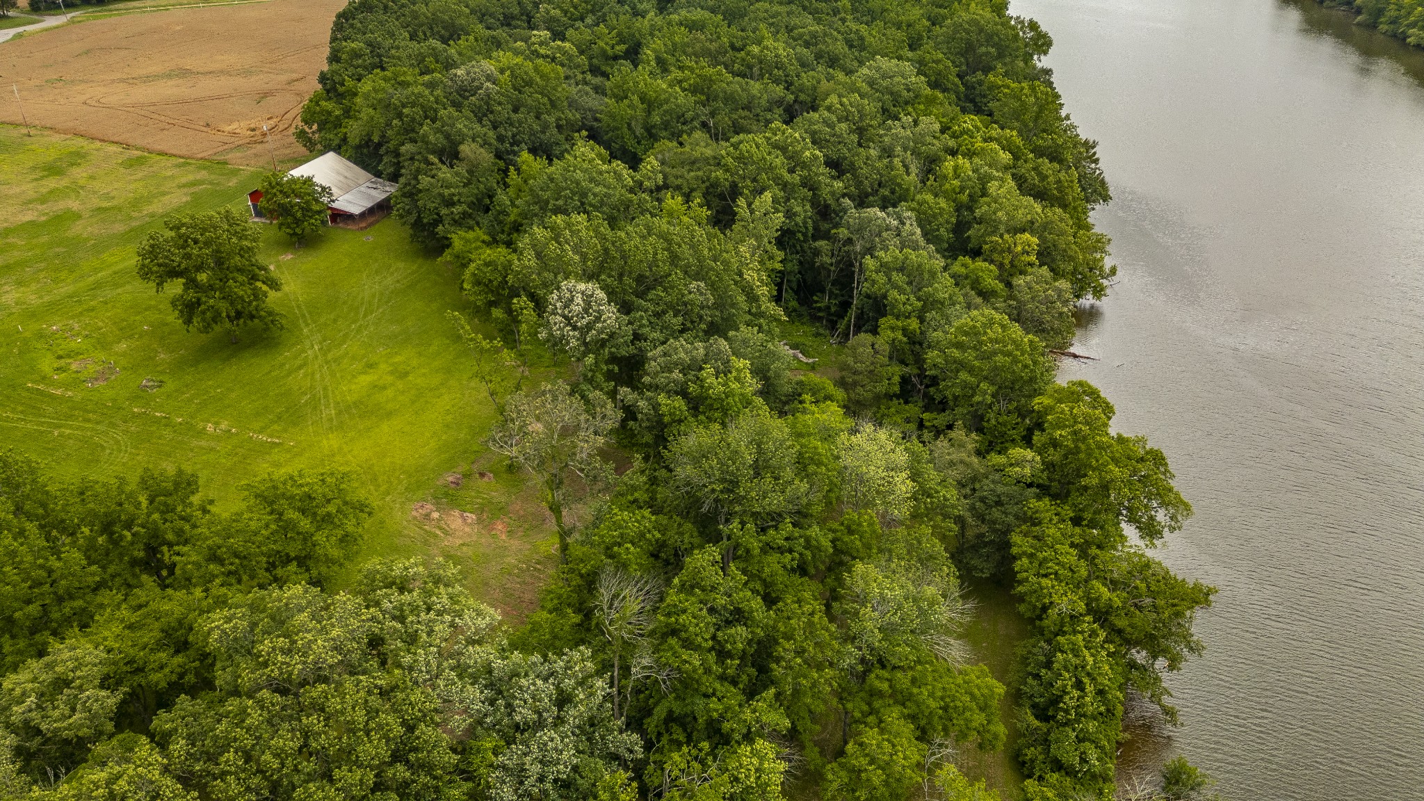 1113 E Robertson Rd