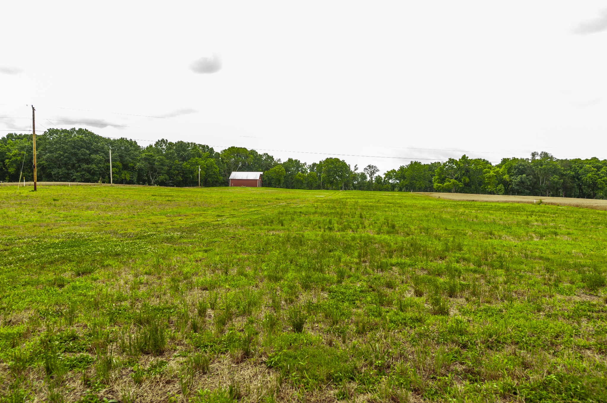 1113 E Robertson Rd