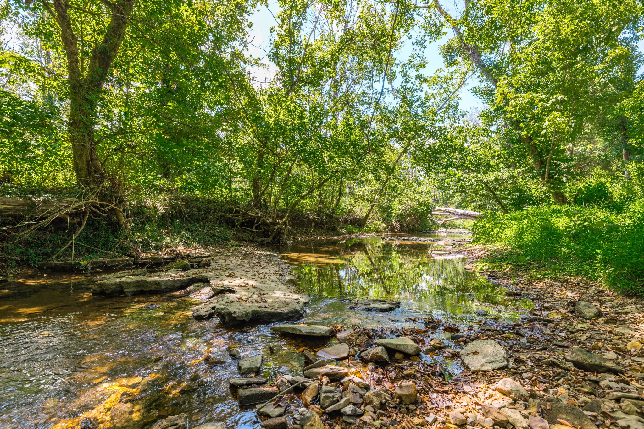 268 S Ray Rd