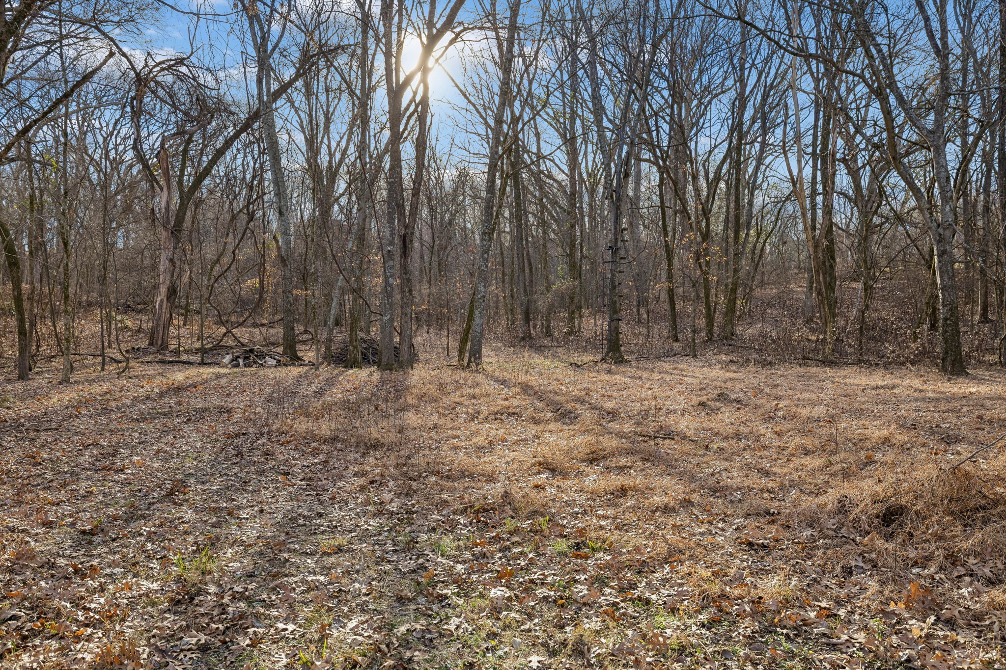 542 Cumberland Hills Dr