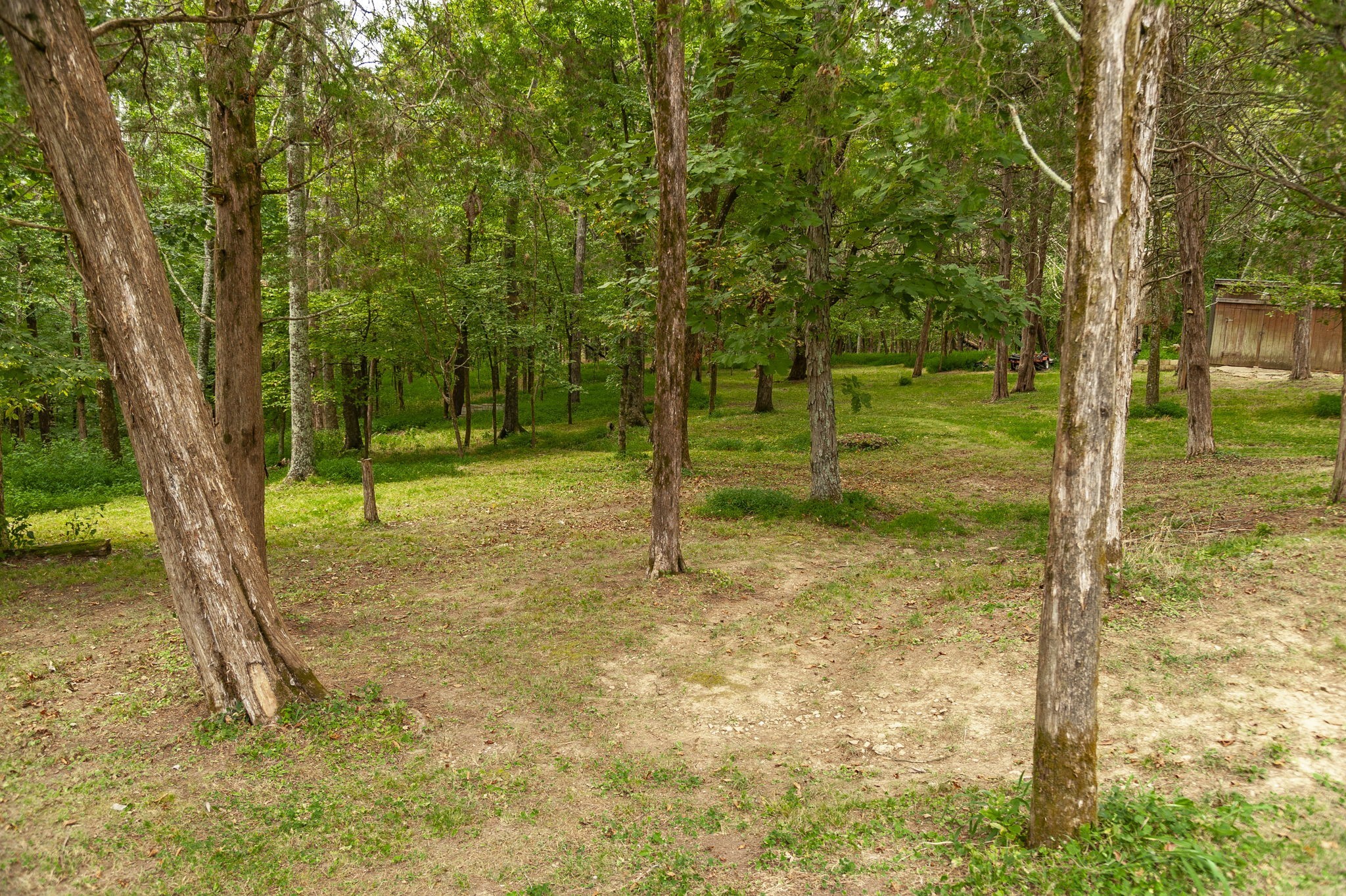 1311 Deer Run