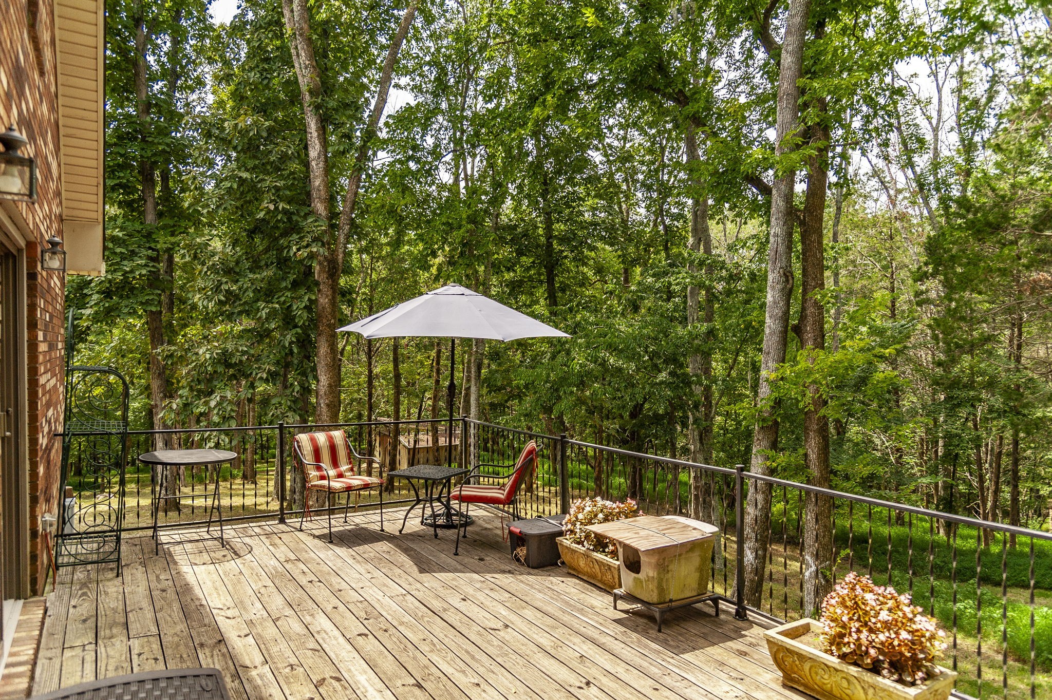1311 Deer Run