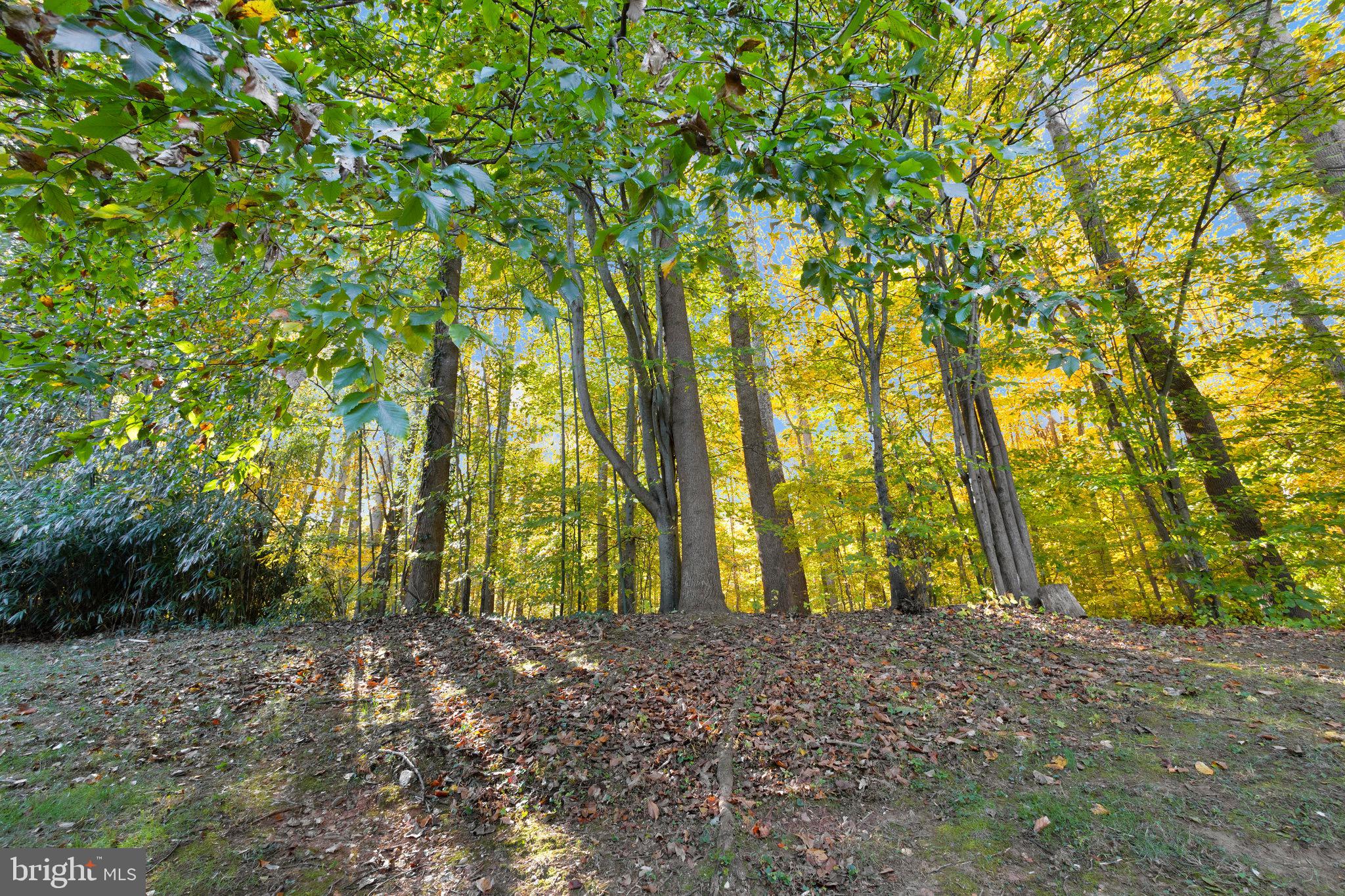 8387 Uxbridge COURT