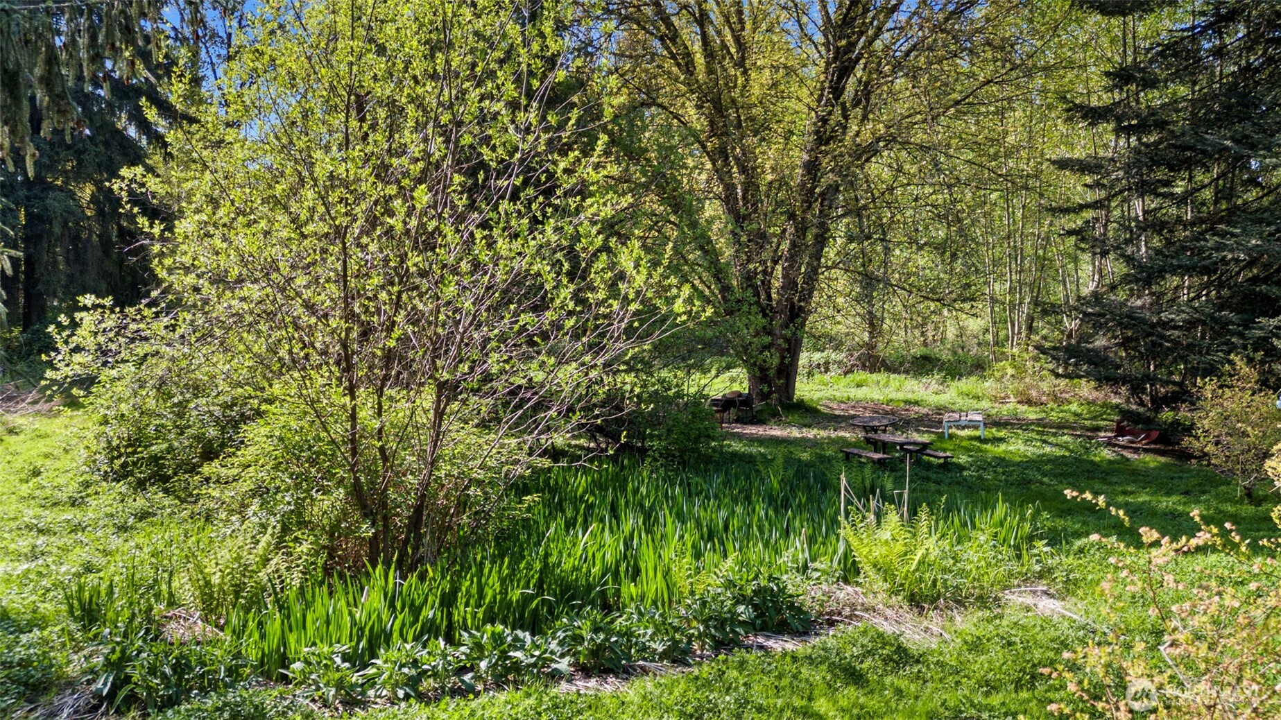 23030 State Route 9 SE