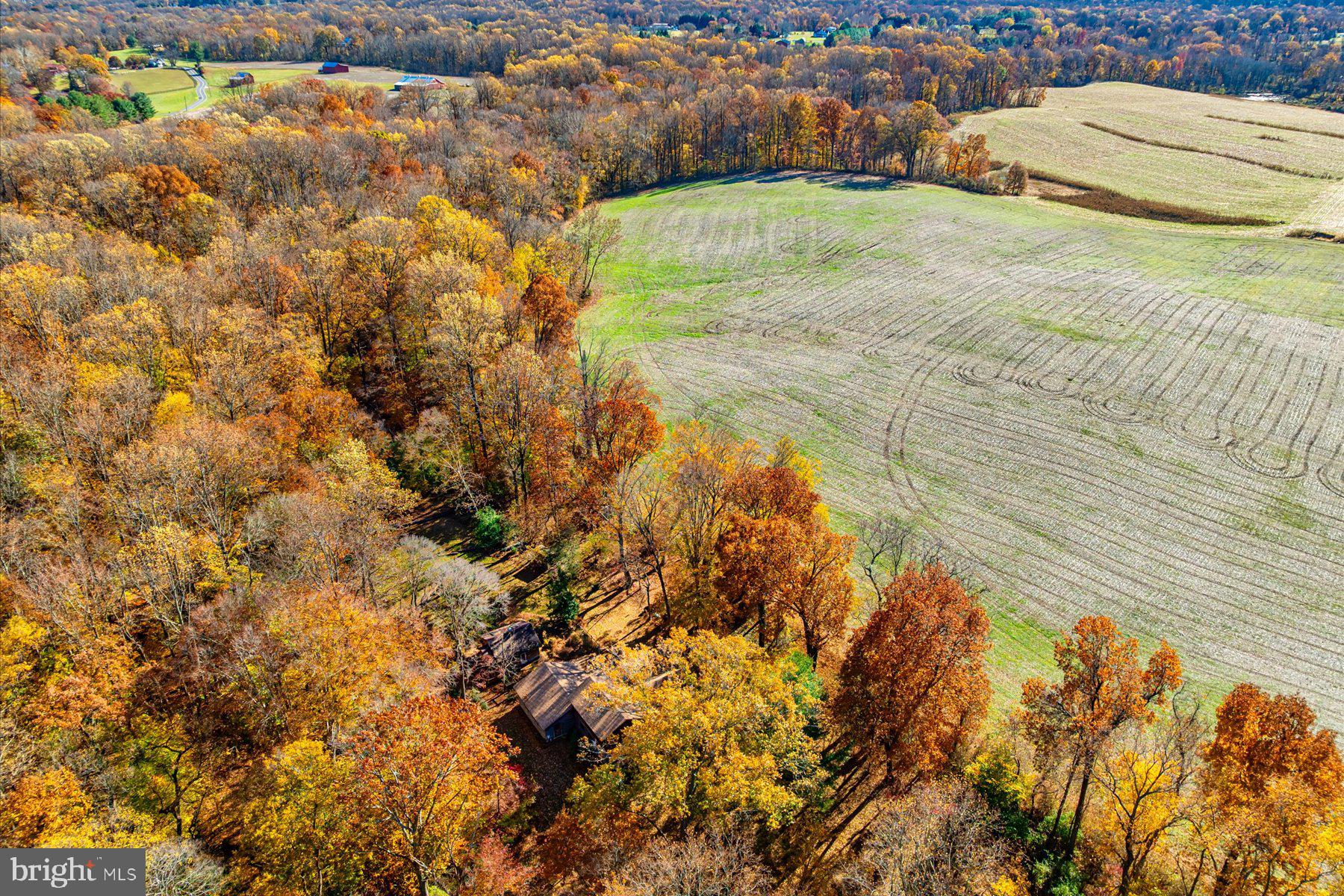 5742 BROOKS WOODS ROAD