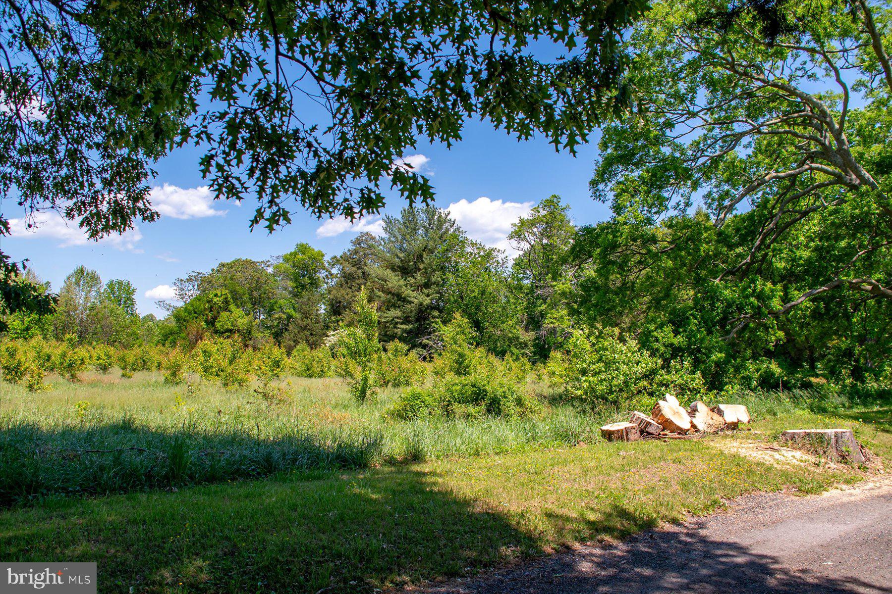 5503 BROOKS WOODS ROAD