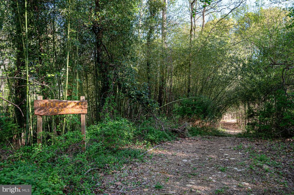 12 WILLOW SPRING DRIVE