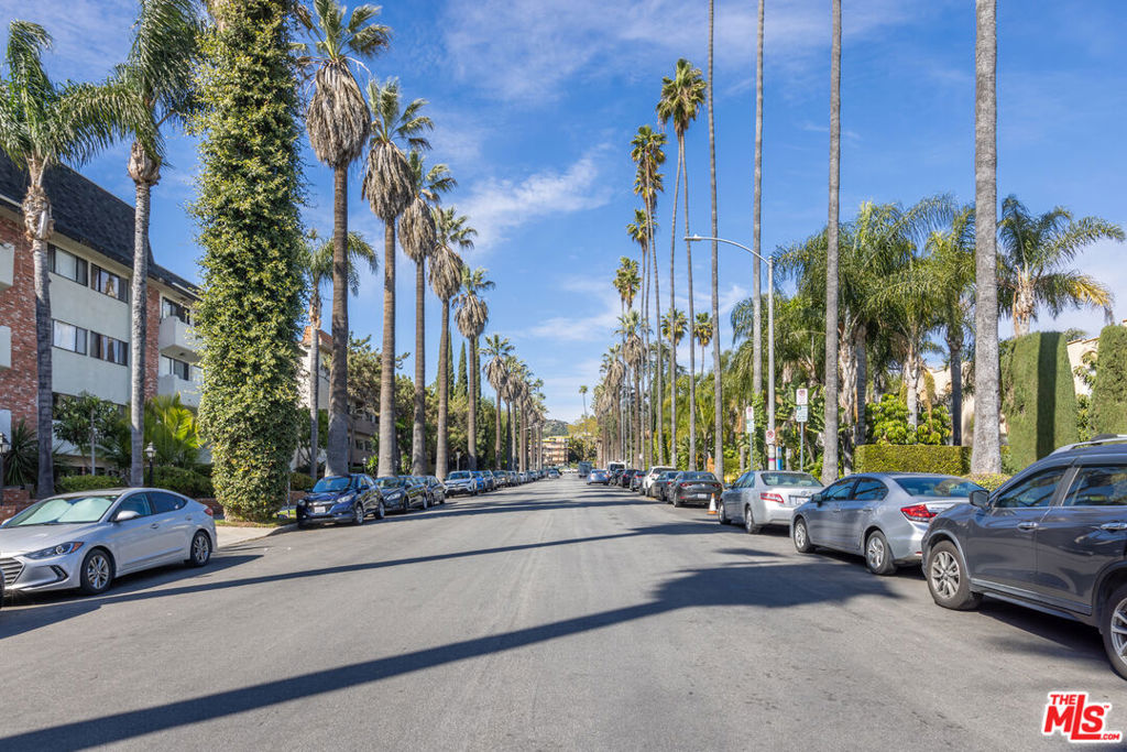 1910 Rodney Drive 5