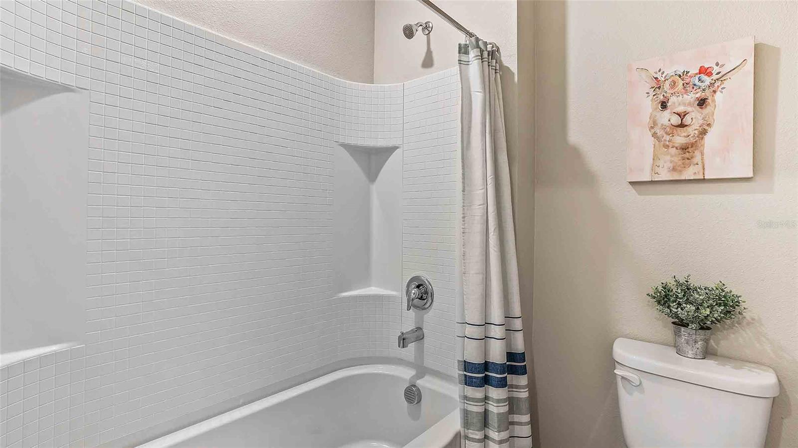 3181 LIVING CORAL ST