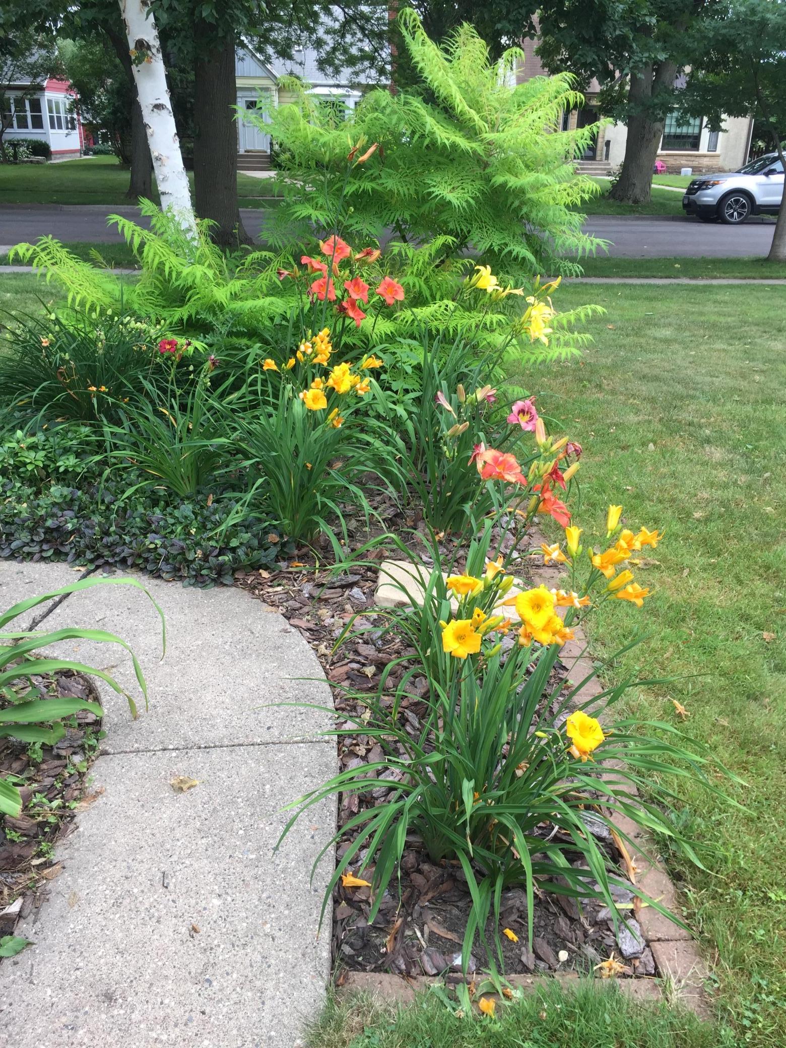 1391 California Avenue W