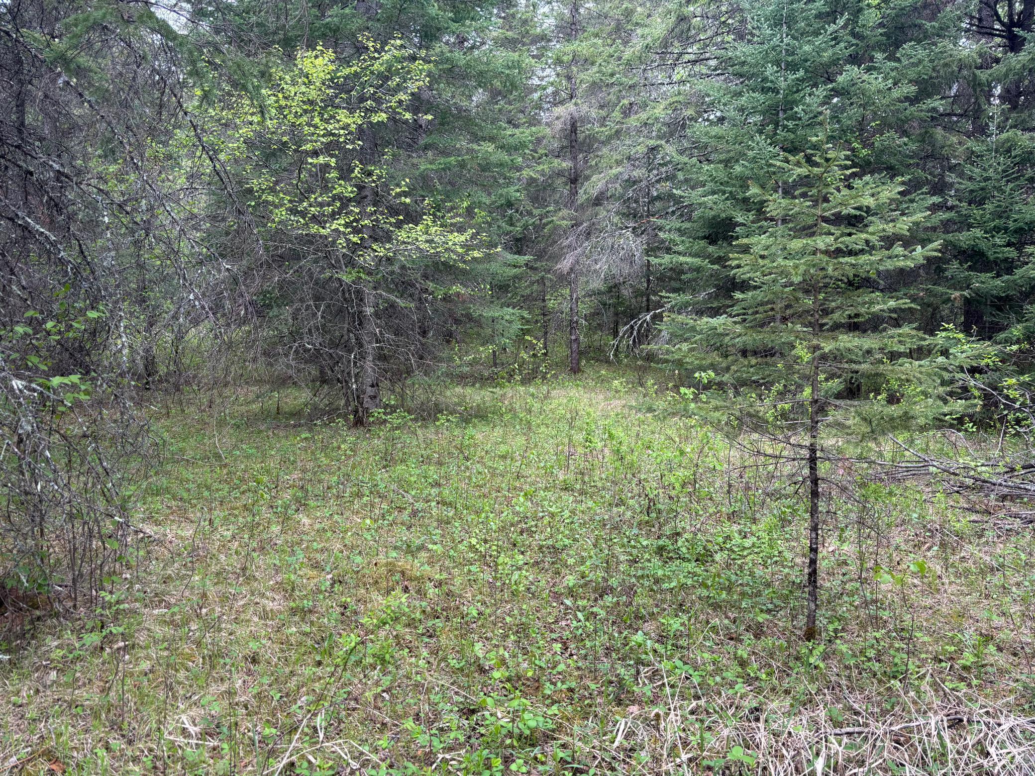 32241 State Highway 1