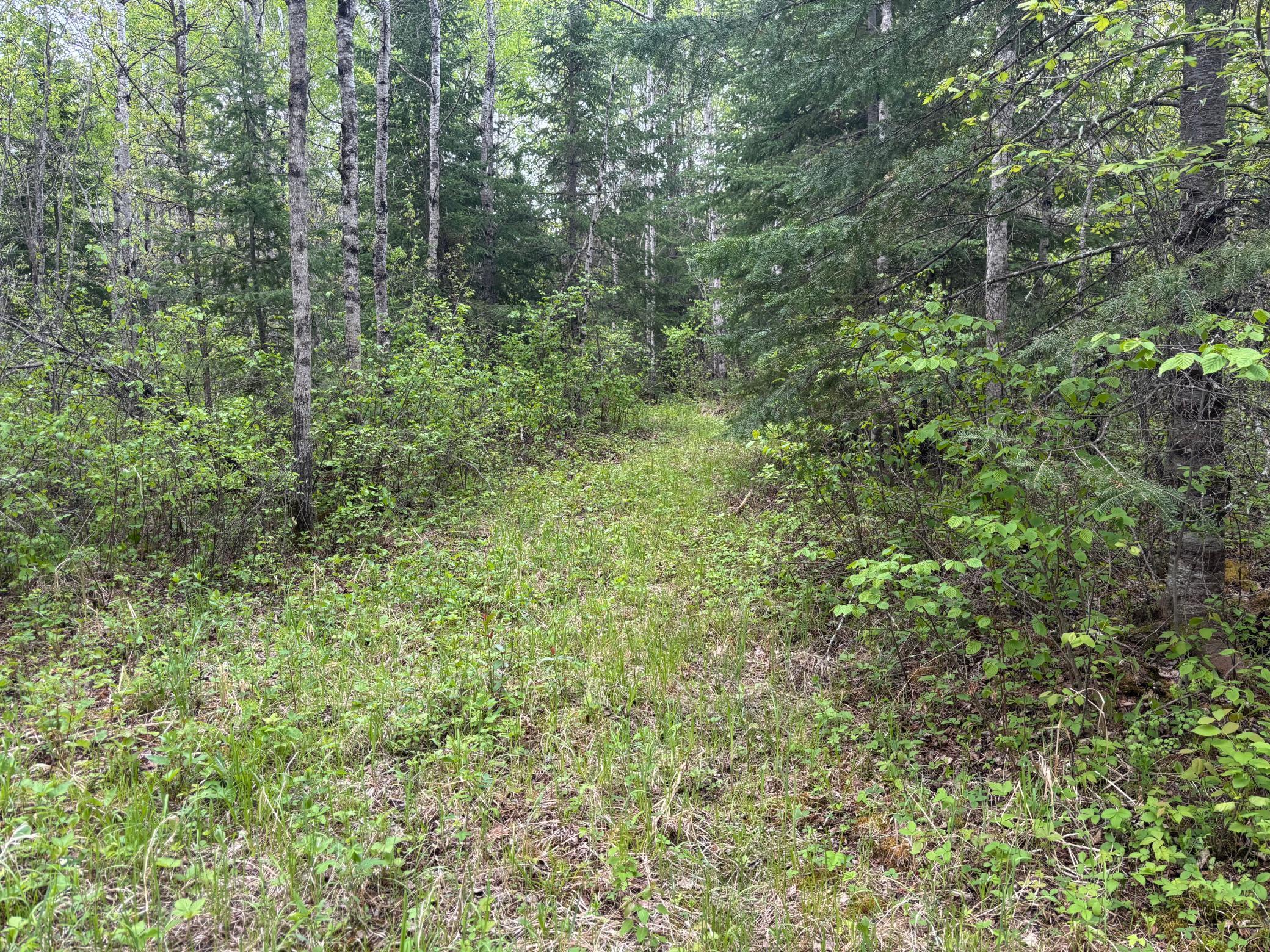 32241 State Highway 1