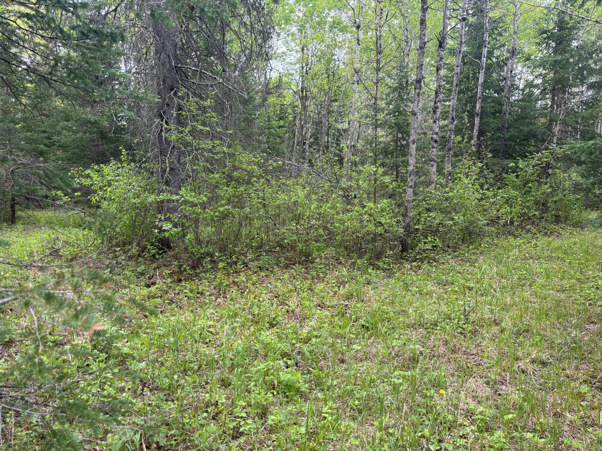 32241 State Highway 1