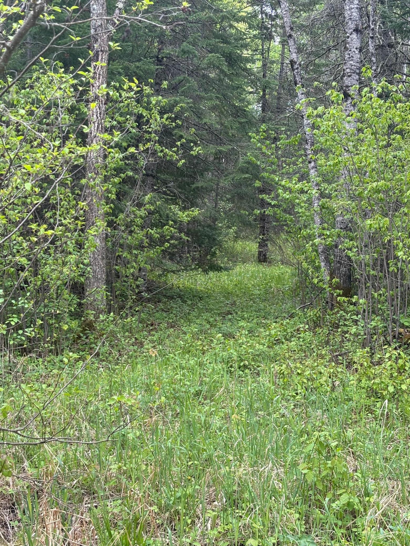 32241 State Highway 1