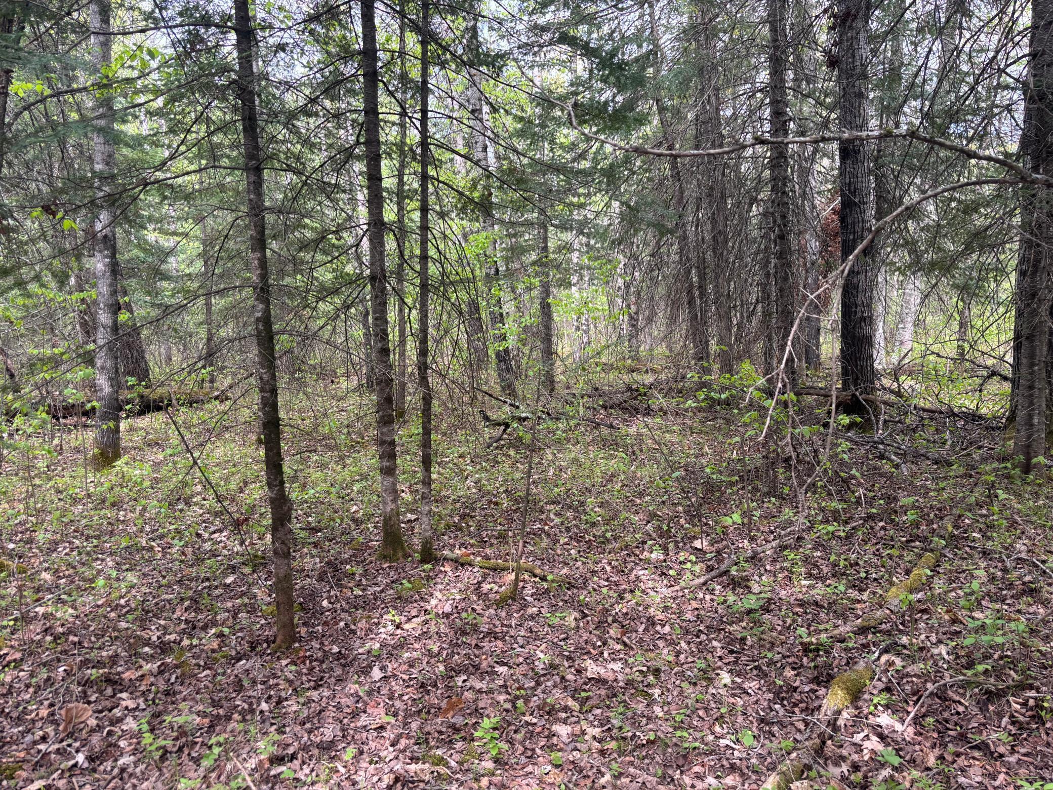 32241 State Highway 1