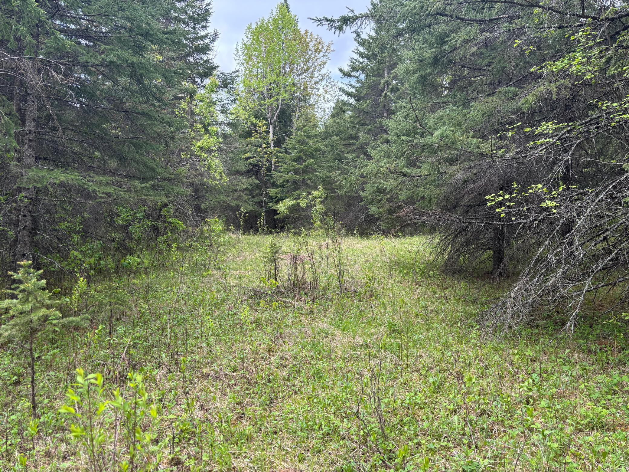 32241 State Highway 1